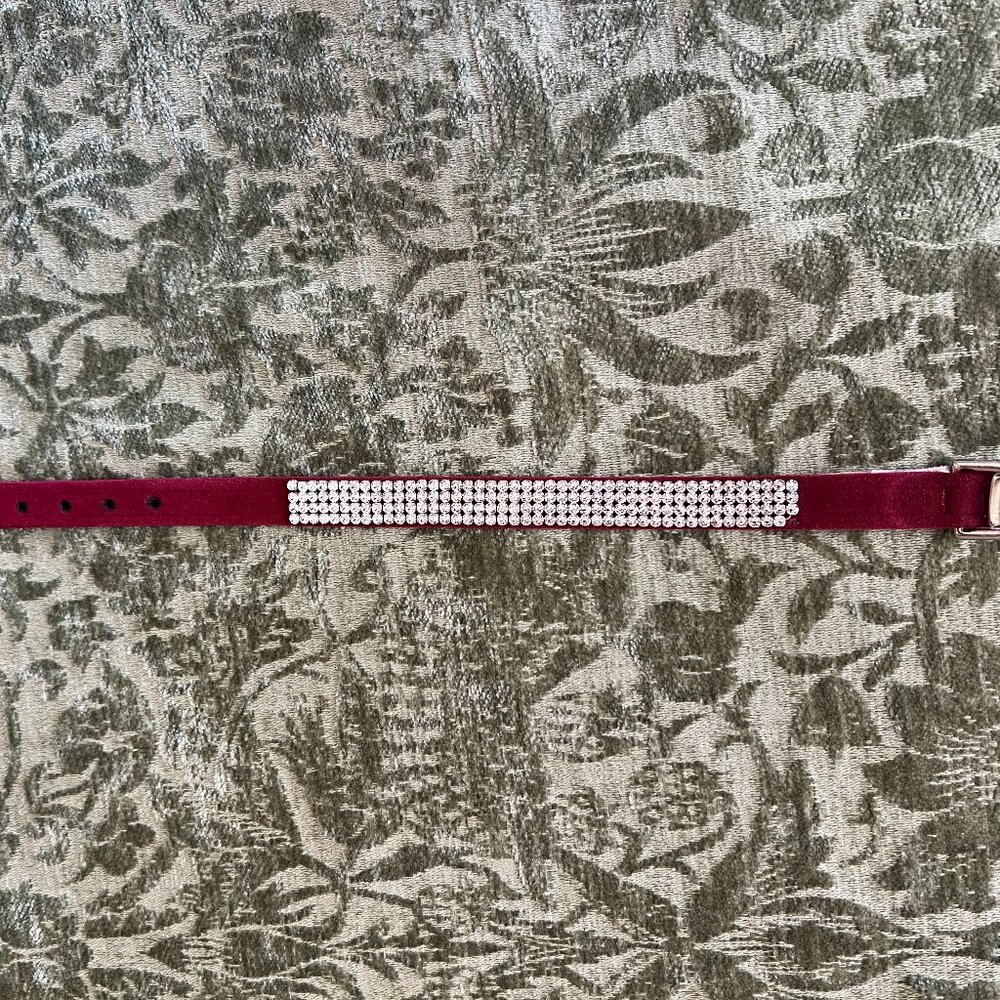 Susan Lanci 4-Row Rhinestone Giltmore Dog Collar Size Small